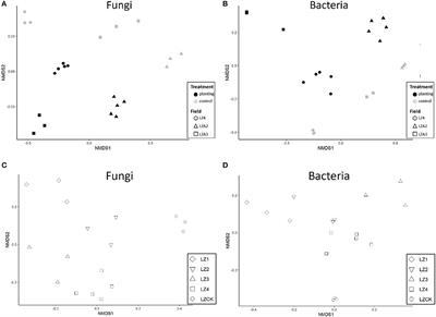 Changes in the Microbiome in the Soil of an American Ginseng Continuous Plantation